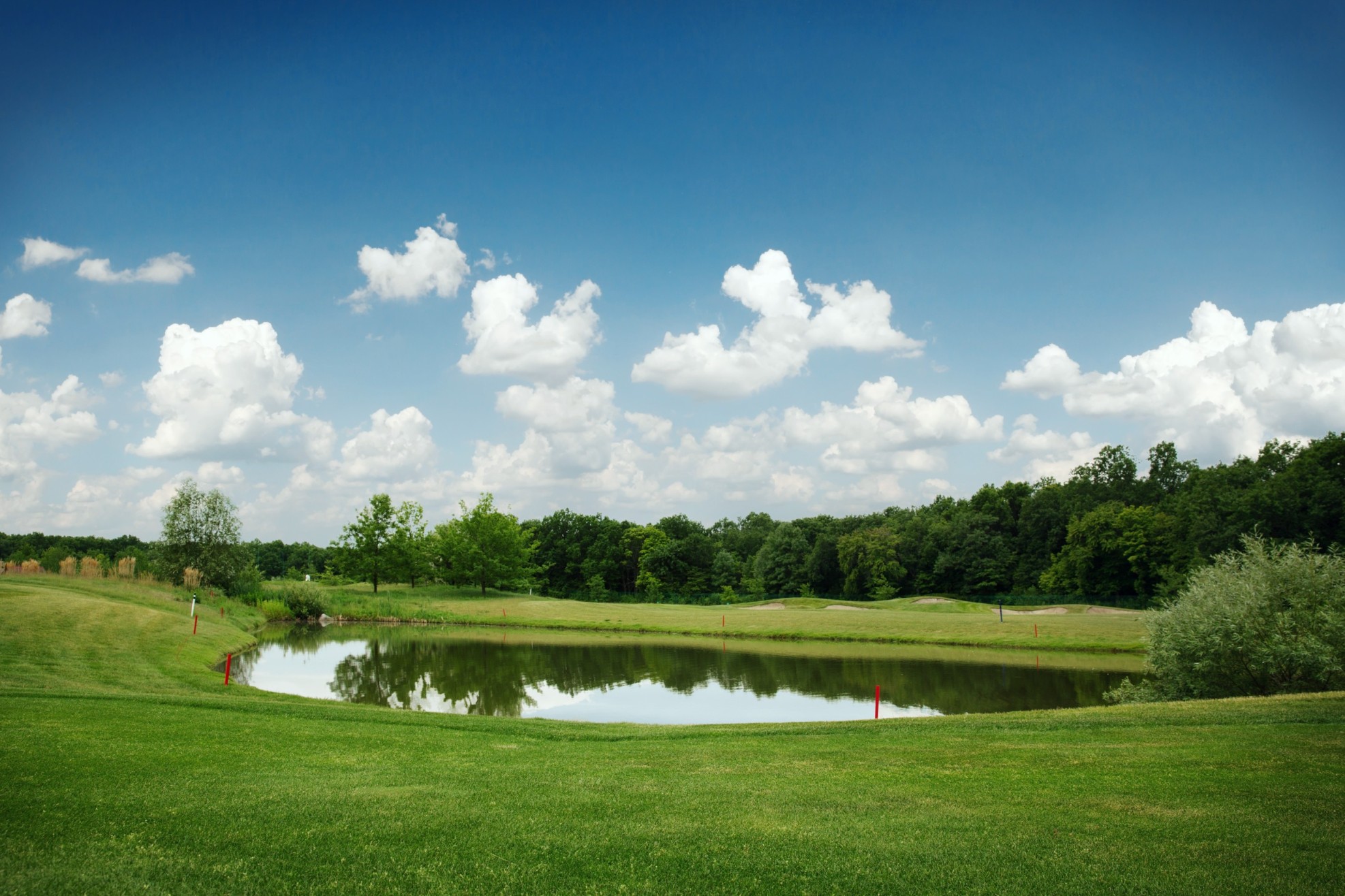 How CCI Are Leading the Way in Golf Safety